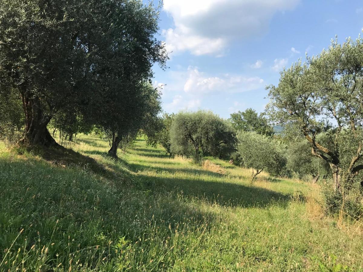 Agli Ulivi Holiday home