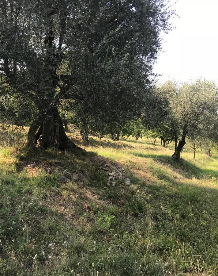 Agli Ulivi Holiday home Baone